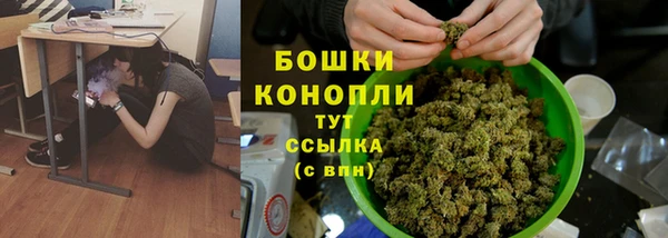дурь Осинники
