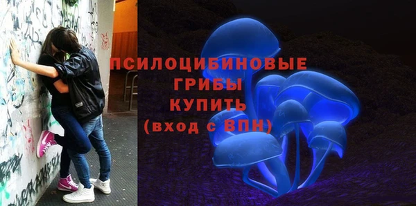 трава Нязепетровск