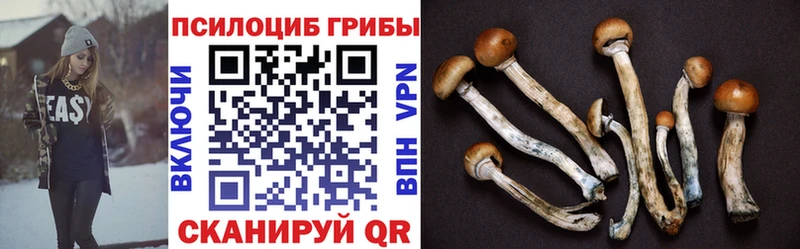 Псилоцибиновые грибы ЛСД  блэк спрут tor  Собинка 